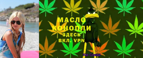 стафф Арсеньев