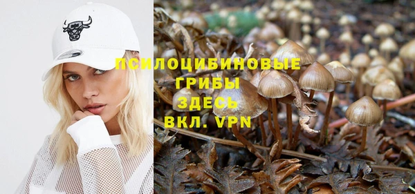 мяу мяу мука Балахна