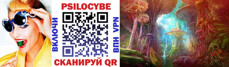 цены   Вяземский  Псилоцибиновые грибы Psilocybe 